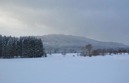 Hans Girgl Hof - Foto 44