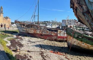 La Langouste ROUGE - Foto 44