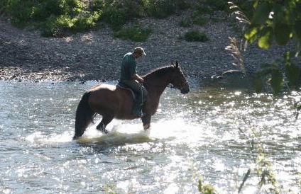 Landgasthof Probstei Zella - Foto 26