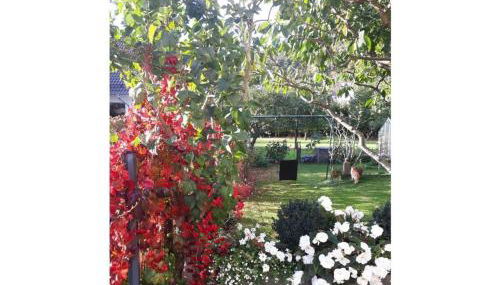 Am Park Comfortable holiday residence - Photo 4, Other