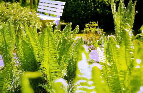 Holiday Home in Storkow mit Schönem Garten by Interhome - Foto 29