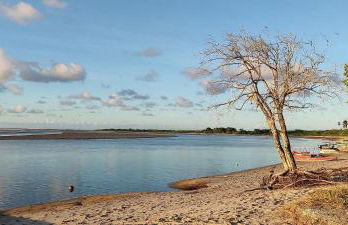 Bella Casa Bougainville - APA Barra de Mamanguape - Photo 48