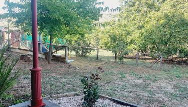 LOS NOGALES - Photo 3