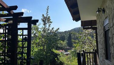 House in the Forest - Foto 5