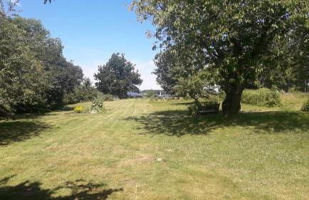 Apartments Sonne am Sund - Photo 40