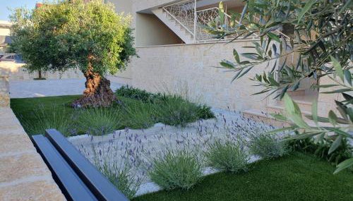 Seashells Apartments Tribunj - Foto 2, Garden