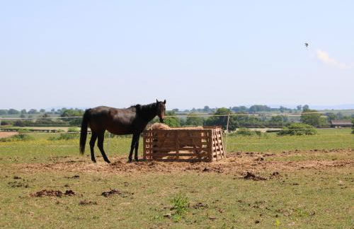 The Old House - Foto 23