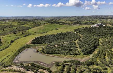 La Glycine - Foto 80