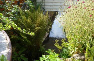 Ferienwohnungen Klosterblick - Photo 62