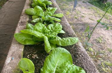 Casa do Muro Alto - Foto 49