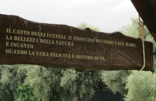 Stella Di Sicilia - Foto 20