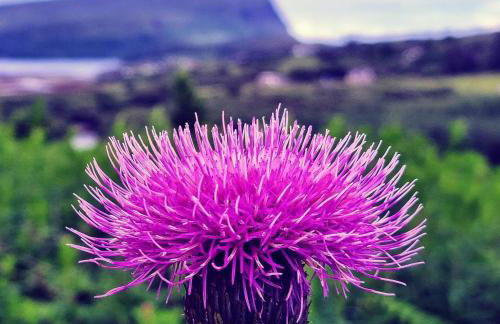 DOLLARBEG CASTLE - The Tower - Luxury Apartment - Foto 38