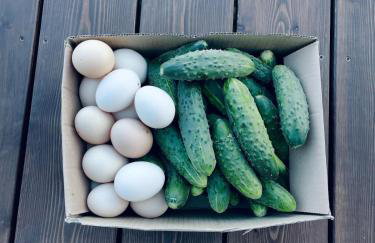 Skrzydła Biebrzy- Eco Cottage nad rzeką Narwią - Biebrza NP - Foto 30