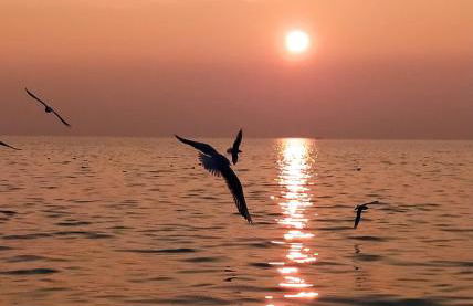 Appartamento La Scaletta - Foto 36