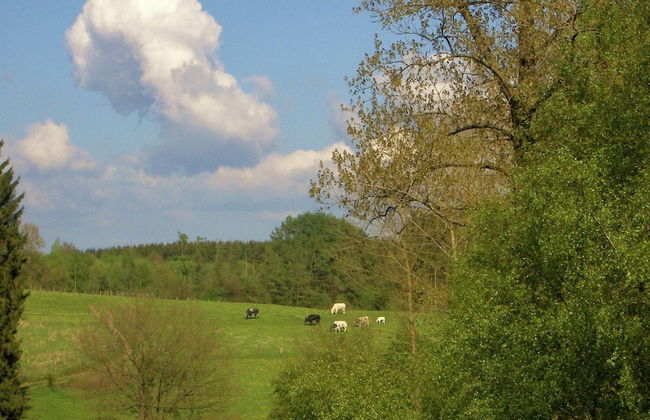 Fort-like Holiday Home in Sart-bertrix, Near Luxembourg - Foto 32