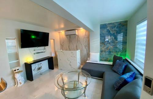 Luxurious remodeled direct Waterfront apartment with Miami skyline view- Free parking- 5min drive to Miami Beach - Foto 11