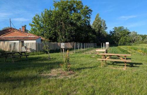 Ferme Pédagogique Bordeneuve - Foto 14