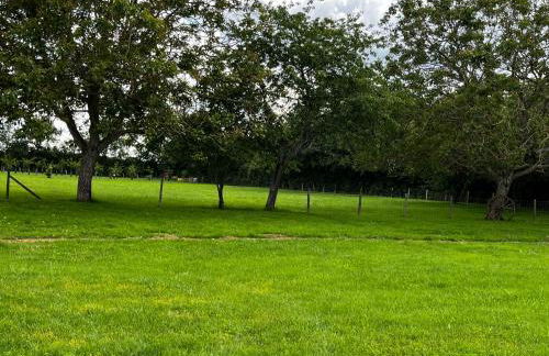 Gîte Le Ptit Poirier - Foto 14