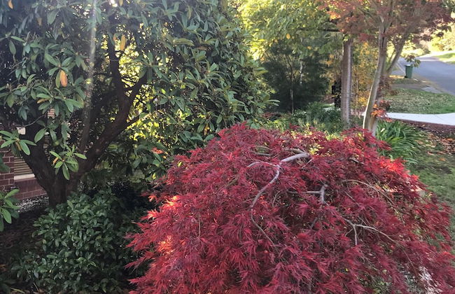 Annie's Escape in Warburton - Foto 27