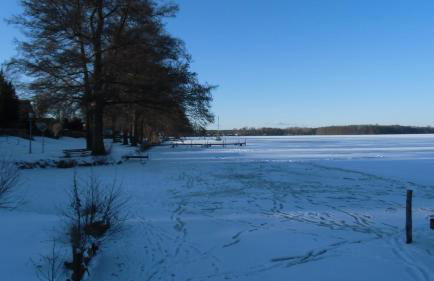 Ferienhaus am Schwielochsee - Foto 50