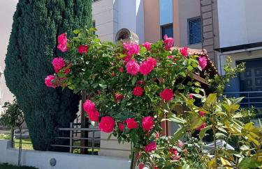 Hilltop Sea View - Foto 19