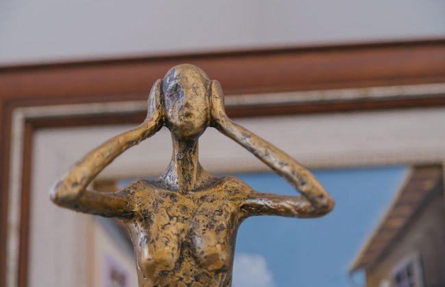 Quinta Vale de Sousa - Douro Valley - Foto 4