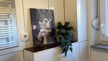 FeWo Im Drosselnest - Photo 5