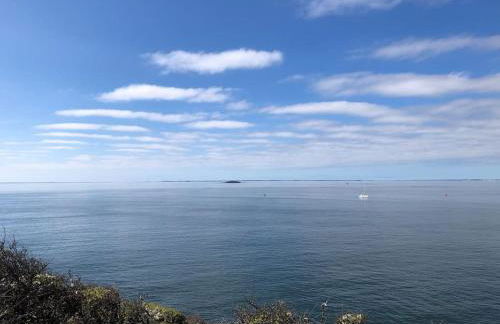 Kerijsel T3 Arzon Port du Crouesty et Port-Navalo - Foto 18