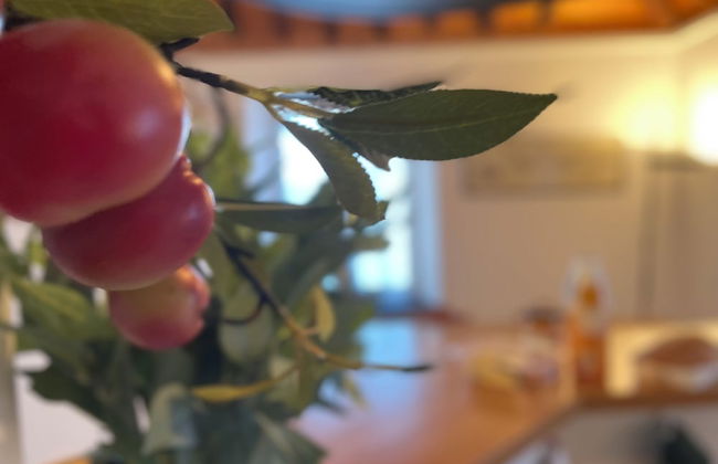 Happy Family Apartments Beach - Photo 21