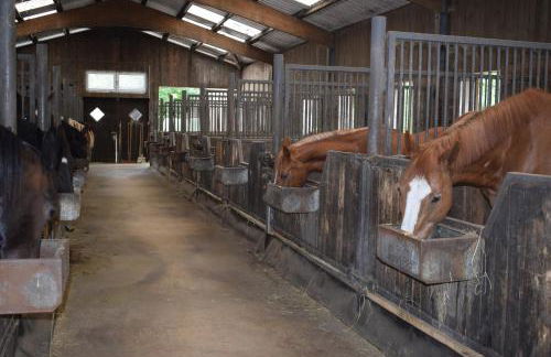 Garbers-Hof - Foto 15