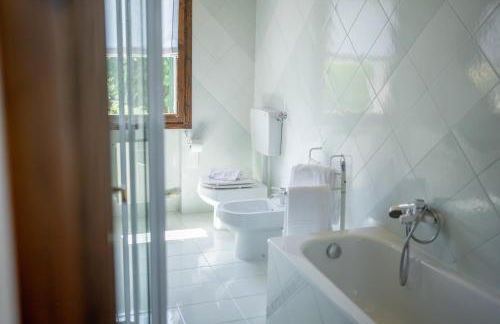 GATTO IN VIGNA - Foto 25