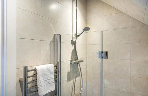 Cormorant - Photo 23