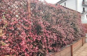 Vivienda Rural Perotxenea Landetxea - Foto 53