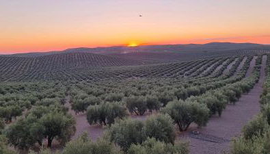 Mansión Alba - Foto 3