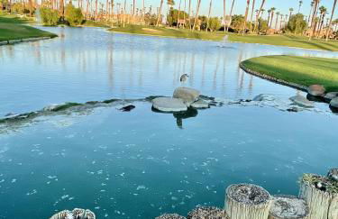 The View! Palm Desert Country Club Villa - Foto 39