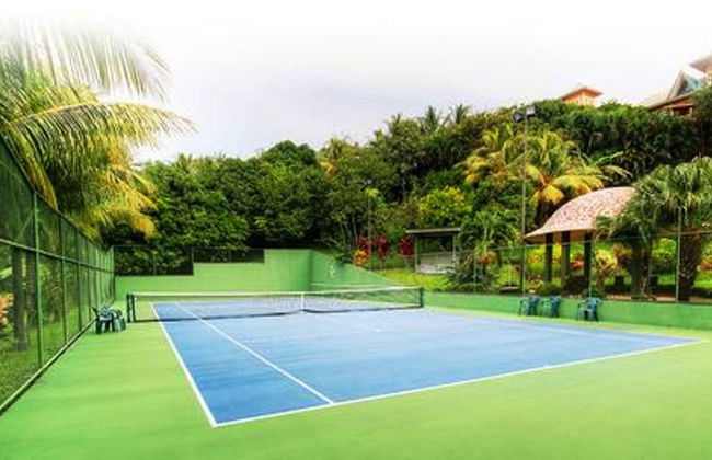 Hidden Palms Nosara - Photo 64