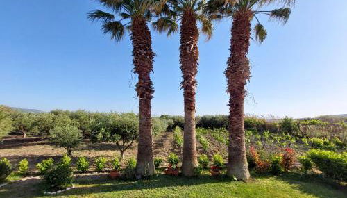 The Three Palms Samos Seaside Villa - Foto 5