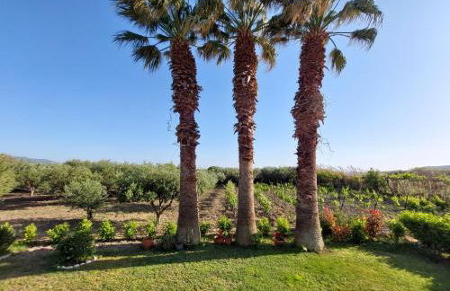 The Three Palms Samos Seaside Villa - Foto 5