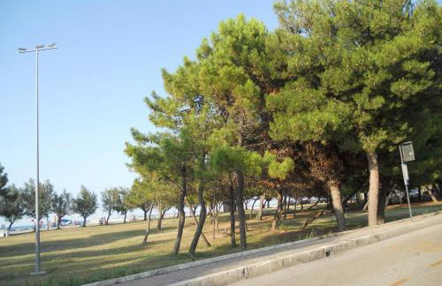 Pepita Flats - Foto 38