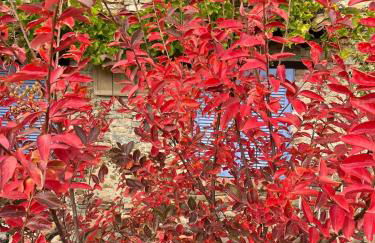 Villa Biancospino - luxury and private villa in Langhe - Foto 41