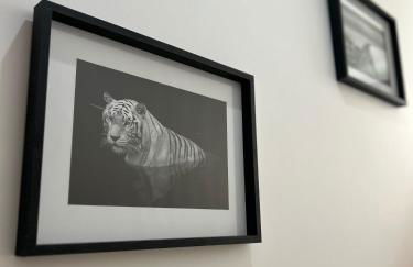 Matteo Suite Holidays - Foto 19