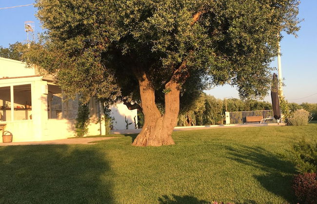 Trulli Lamascrasciola - Foto 63