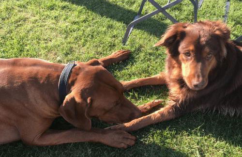 havelblau FERIENLOFTS - Foto 42