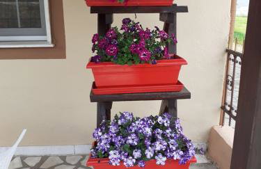 AMISIANA HOUSE - Foto 11