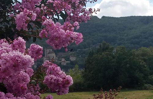 Gite st cirq Lapopie piscine vue imprenable - Foto 17