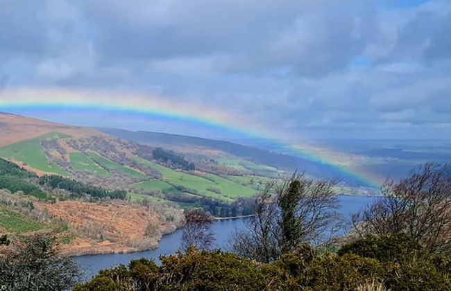 Happy Days Afan Forest - Foto 27