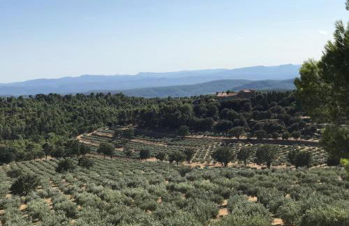 Les Arcades - Foto 56