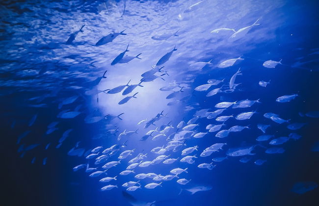 Promotur Suites - Ayora - Photo 43