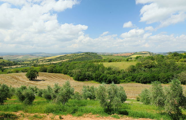 Casa dell'Orto - Photo 26