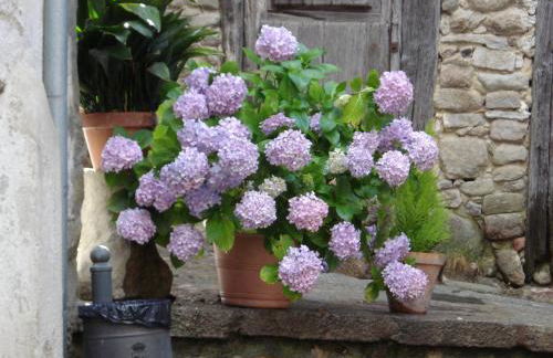 El Balcón de Mogarraz - Foto 51